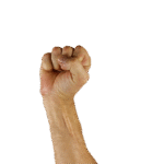 fist, hand, sign language, victory, human, fist, fist, fist, fist, fist, sign language