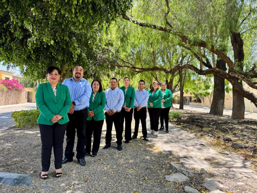 planilla verde perfil